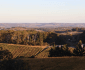 Best Wineries to Book Now in Adelaide