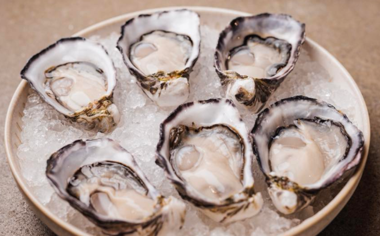 best-seafood-brisbane